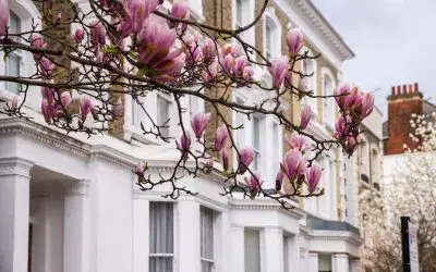 Offshore companies with UK property – update